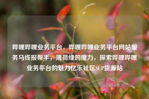 哔哩哔哩业务平台	，哔哩哔哩业务平台网站服务马线报帮手，薄荷绿的魔力，探索哔哩哔哩业务平台的魅力亿乐社区SUP货源站  第1张