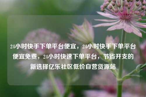 24小时快手下单平台便宜，24小时快手下单平台便宜免费	，24小时快速下单平台，节省开支的新选择亿乐社区低价自营货源站  第1张