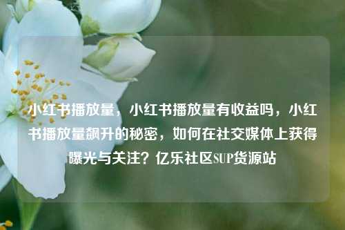 小红书播放量	，小红书播放量有收益吗，小红书播放量飙升的秘密，如何在社交媒体上获得曝光与关注？亿乐社区SUP货源站  第1张