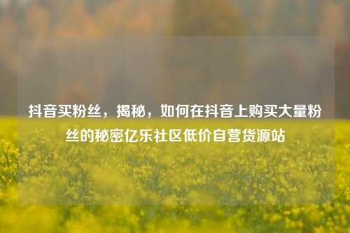 抖音买粉丝，揭秘，如何在抖音上购买大量粉丝的秘密亿乐社区低价自营货源站  第1张