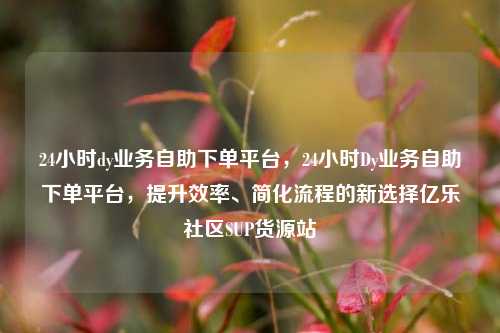 24小时dy业务自助下单平台	，24小时Dy业务自助下单平台，提升效率、简化流程的新选择亿乐社区SUP货源站  第1张
