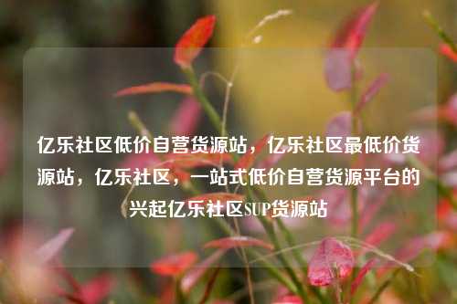 亿乐社区低价自营货源站	，亿乐社区最低价货源站，亿乐社区，一站式低价自营货源平台的兴起亿乐社区SUP货源站  第1张