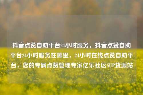 抖音点赞自助平台24小时服务，抖音点赞自助平台24小时服务在哪里	，24小时在线点赞自助平台，您的专属点赞管理专家亿乐社区SUP货源站  第1张