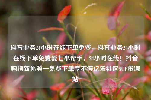 抖音业务24小时在线下单免费，抖音业务24小时在线下单免费爱七小帮手，24小时在线！抖音购物新体验—免费下单享不停亿乐社区SUP货源站  第1张