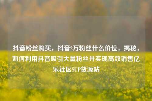 抖音粉丝购买，抖音2万粉丝什么价位，揭秘	，如何利用抖音吸引大量粉丝并实现高效销售亿乐社区SUP货源站  第1张