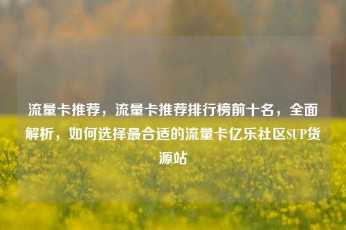 流量卡推荐	，流量卡推荐排行榜前十名，全面解析，如何选择最合适的流量卡亿乐社区SUP货源站  第1张