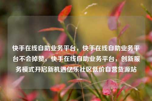 快手在线自助业务平台	，快手在线自助业务平台不会掉赞，快手在线自助业务平台，创新服务模式开启新机遇亿乐社区低价自营货源站  第1张
