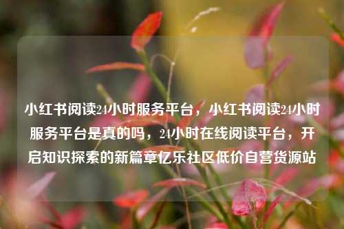 小红书阅读24小时服务平台	，小红书阅读24小时服务平台是真的吗，24小时在线阅读平台，开启知识探索的新篇章亿乐社区低价自营货源站  第1张
