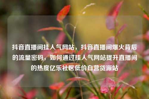 抖音直播间挂人气网站，抖音直播间爆火背后的流量密码	，如何通过挂人气网站提升直播间的热度亿乐社区低价自营货源站  第1张