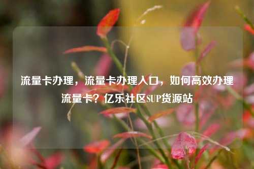 流量卡办理，流量卡办理入口	，如何高效办理流量卡？亿乐社区SUP货源站  第1张
