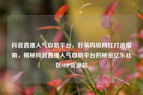 抖音直播人气自助平台，好莱坞级网红打造指南	，揭秘抖音直播人气自助平台的秘密亿乐社区SUP货源站  第1张