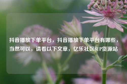 抖音播放下单平台，抖音播放下单平台有哪些，当然可以	，请看以下文章，亿乐社区SUP货源站  第1张
