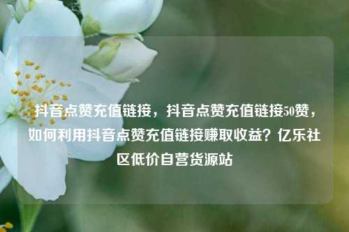 抖音点赞充值链接，抖音点赞充值链接50赞	，如何利用抖音点赞充值链接赚取收益？亿乐社区低价自营货源站  第1张