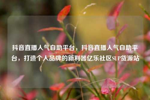 抖音直播人气自助平台	，抖音直播人气自助平台，打造个人品牌的新利器亿乐社区SUP货源站  第1张