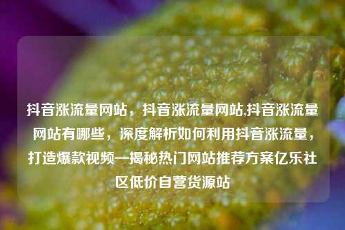 抖音涨流量网站	，抖音涨流量网站,抖音涨流量网站有哪些，深度解析如何利用抖音涨流量，打造爆款视频—揭秘热门网站推荐方案亿乐社区低价自营货源站  第1张