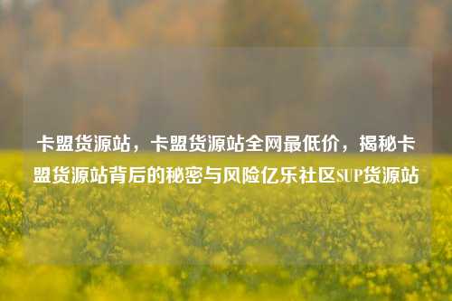卡盟货源站	，卡盟货源站全网最低价，揭秘卡盟货源站背后的秘密与风险亿乐社区SUP货源站  第1张