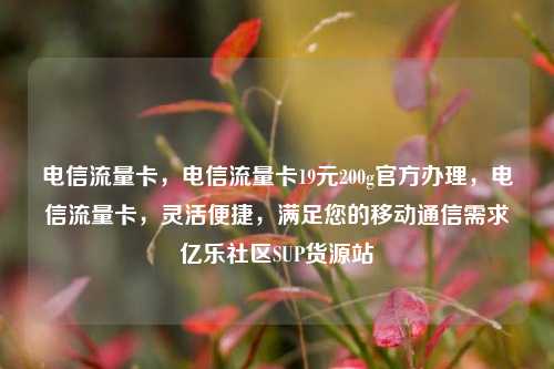电信流量卡，电信流量卡19元200g官方办理，电信流量卡	，灵活便捷，满足您的移动通信需求亿乐社区SUP货源站  第1张