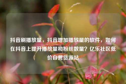 抖音刷播放量，抖音增加播放量的软件	，如何在抖音上提升播放量和粉丝数量？亿乐社区低价自营货源站  第1张