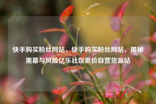 快手购买粉丝网站	，快手购买粉丝网站，揭秘黑幕与风险亿乐社区低价自营货源站  第1张