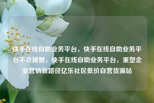 快手在线自助业务平台，快手在线自助业务平台不会掉赞，快手在线自助业务平台	，重塑企业营销新路径亿乐社区低价自营货源站  第1张