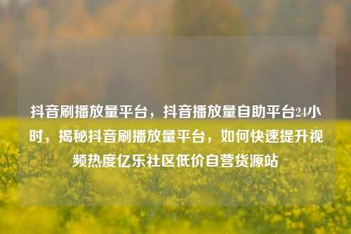 抖音刷播放量平台	，抖音播放量自助平台24小时，揭秘抖音刷播放量平台，如何快速提升视频热度亿乐社区低价自营货源站  第1张