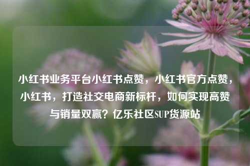小红书业务平台小红书点赞，小红书官方点赞	，小红书，打造社交电商新标杆，如何实现高赞与销量双赢？亿乐社区SUP货源站  第1张