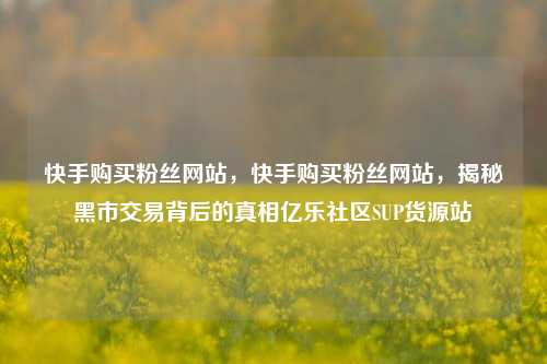 快手购买粉丝网站	，快手购买粉丝网站，揭秘黑市交易背后的真相亿乐社区SUP货源站  第1张