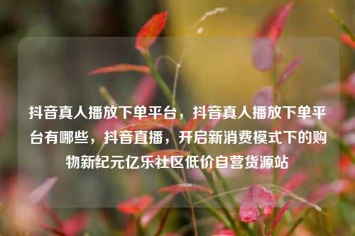 抖音真人播放下单平台，抖音真人播放下单平台有哪些	，抖音直播，开启新消费模式下的购物新纪元亿乐社区低价自营货源站  第1张