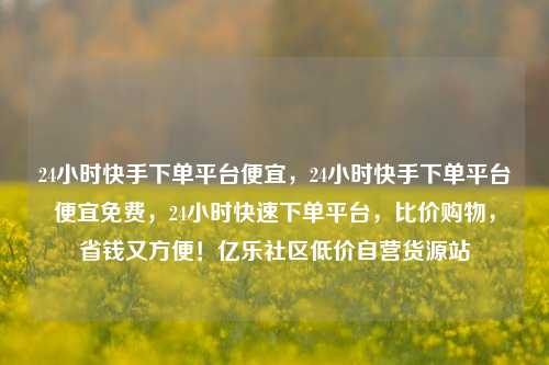 24小时快手下单平台便宜	，24小时快手下单平台便宜免费，24小时快速下单平台，比价购物	，省钱又方便！亿乐社区低价自营货源站  第1张