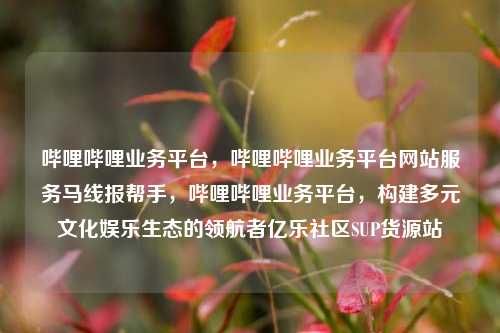 哔哩哔哩业务平台，哔哩哔哩业务平台网站服务马线报帮手	，哔哩哔哩业务平台，构建多元文化娱乐生态的领航者亿乐社区SUP货源站  第1张