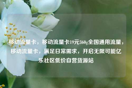 移动流量卡，移动流量卡19元360g全国通用流量	，移动流量卡，满足日常需求，开启无限可能亿乐社区低价自营货源站  第1张