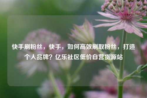快手刷粉丝，快手	，如何高效刷取粉丝，打造个人品牌？亿乐社区低价自营货源站  第1张