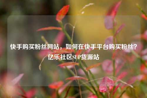 快手购买粉丝网站	，如何在快手平台购买粉丝？亿乐社区SUP货源站  第1张