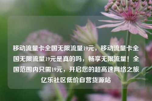 移动流量卡全国无限流量19元	，移动流量卡全国无限流量19元是真的吗，畅享无限流量！全国范围内只需19元，开启您的超高速网络之旅亿乐社区低价自营货源站  第1张